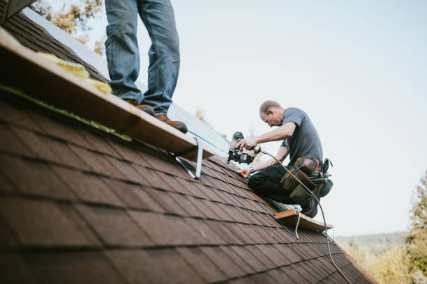 Best Commercial Roofing Services  in Dubuque, IA